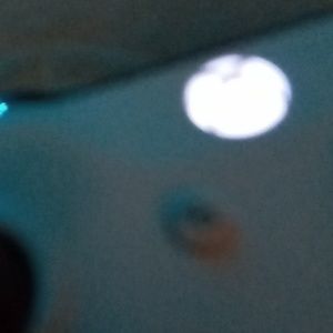 Meet your Posher, Rodrick